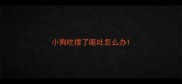 小狗吃撑了呕吐怎么办