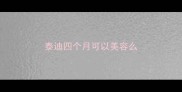 泰迪四个月可以美容么