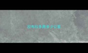 拉布拉多跑多少公里