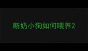 断奶小狗如何喂养