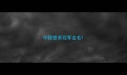 中国登录冠军金毛