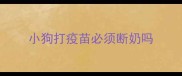 小狗打疫苗必须断奶吗