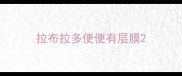 拉布拉多便便有层膜