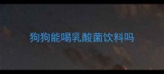 狗狗能喝乳酸菌饮料吗