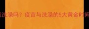 狗狗打完狂犬疫苗后能洗澡吗疫苗与洗澡的5大黄金时间法则及科学护理指南