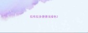 拉布拉多便便浅绿色