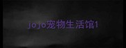 jojo宠物生活馆