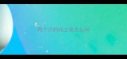 两个月的哈士奇怎么叫