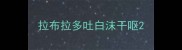拉布拉多吐白沫干呕