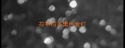 拉布拉多黑色发红