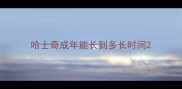 哈士奇成年能长到多长时间