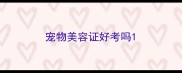 宠物美容证好考吗
