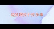 边牧跟拉不拉多串