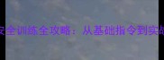 边境牧羊犬过马路安全训练全攻略从基础指令到实战演练的6步养成法
