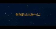 狗狗配过注意什么