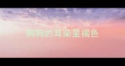狗狗的耳朵里褐色