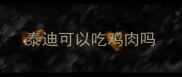泰迪可以吃鸡肉吗