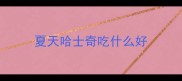 夏天哈士奇吃什么好
