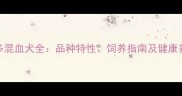 加菲猫与拉布拉多混血犬全品种特性饲养指南及健康养护秘籍推荐