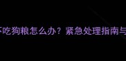 狗狗一个月不吃狗粮怎么办紧急处理指南与家庭疗法全