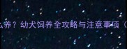 一个月大的马犬怎么养幼犬饲养全攻略与注意事项附喂养护理指南