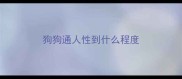 狗狗通人性到什么程度