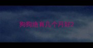 狗狗绝育几个月好