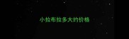 小拉布拉多大约价格