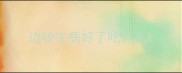 边牧生病好了吃什么