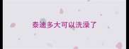 泰迪多大可以洗澡了