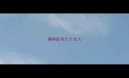 猫咪能有几个主人