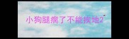 小狗腿瘸了不能挨地