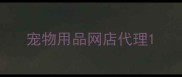 宠物用品网店代理