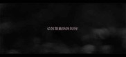 边牧跟着妈妈叫吗