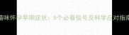 猫咪怀孕早期症状5个必看信号及科学应对指南