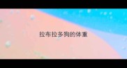 拉布拉多狗的体重
