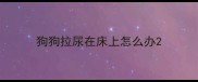 狗狗拉尿在床上怎么办