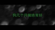 狗几个月做绝育好