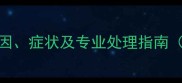 狗狗乳房肿胀怎么办原因症状及专业处理指南附家庭护理与就医建议