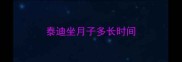 泰迪坐月子多长时间