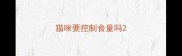 猫咪要控制食量吗