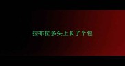 拉布拉多头上长了个包