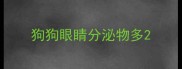 狗狗眼睛分泌物多