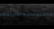 泰迪成年后断尾可行吗资深训犬师风险与操作指南