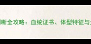 哈士奇纯种判断全攻略血统证书体型特征与犬舍选择指南