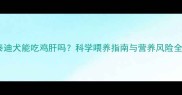 泰迪犬能吃鸡肝吗科学喂养指南与营养风险全
