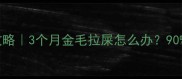 金毛幼犬大小便训练全攻略3个月金毛拉屎怎么办90家长都忽略的5个关键点