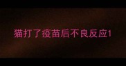 猫打了疫苗后不良反应