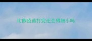 比熊疫苗打完还会得细小吗