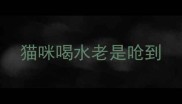 猫咪喝水老是呛到